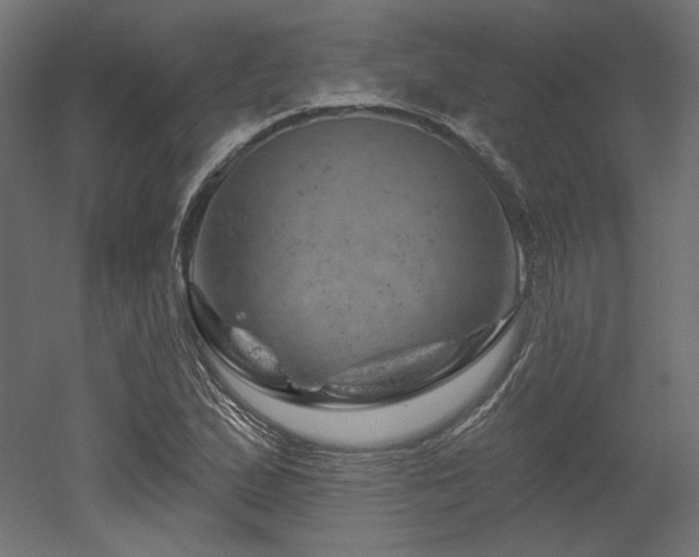 X0000052641167200507011338