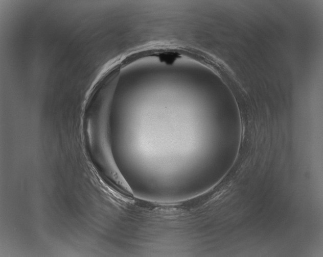 X0000052641168200507011338