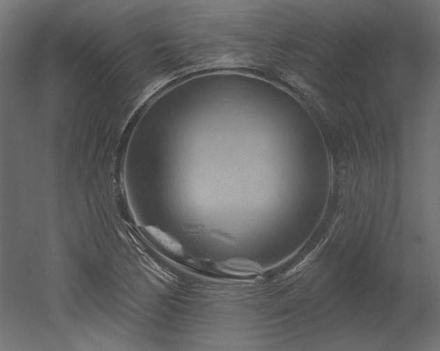 X0000052641170200507011338