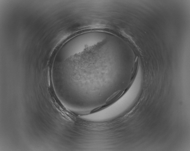 X0000052641171200507011338