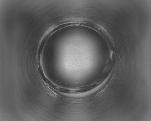 X0000052641172200507011338