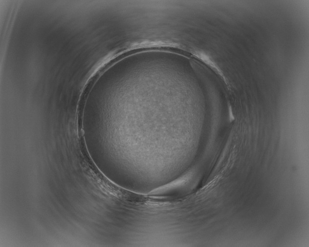 X0000052641173200507011338