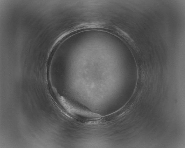 X0000052641174200507011338