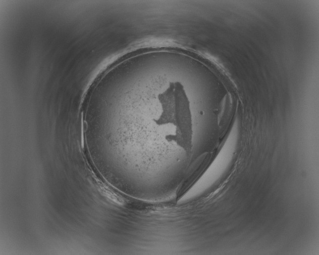 X0000052641175200507011338