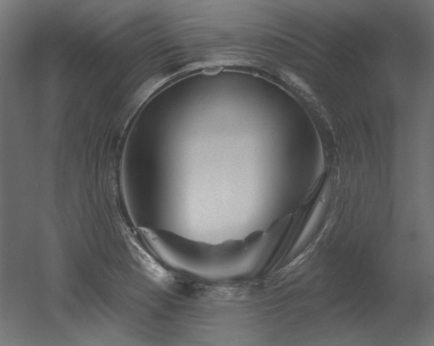 X0000052641177200507011338