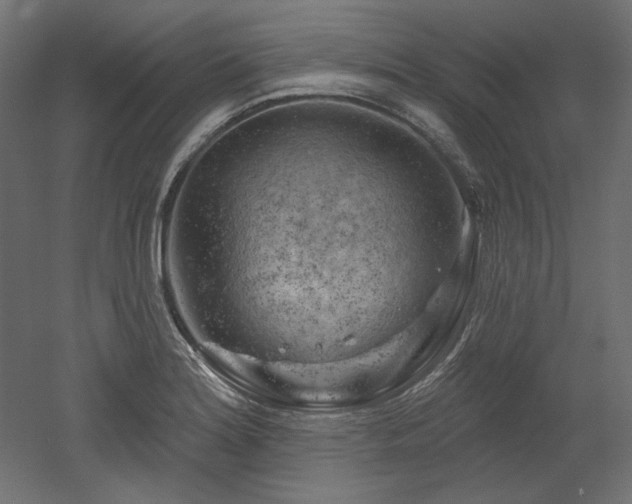 X0000052641180200507011338