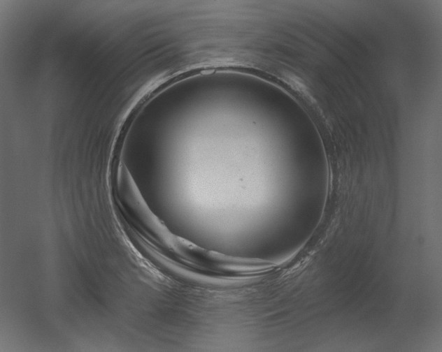 X0000052641181200507011338