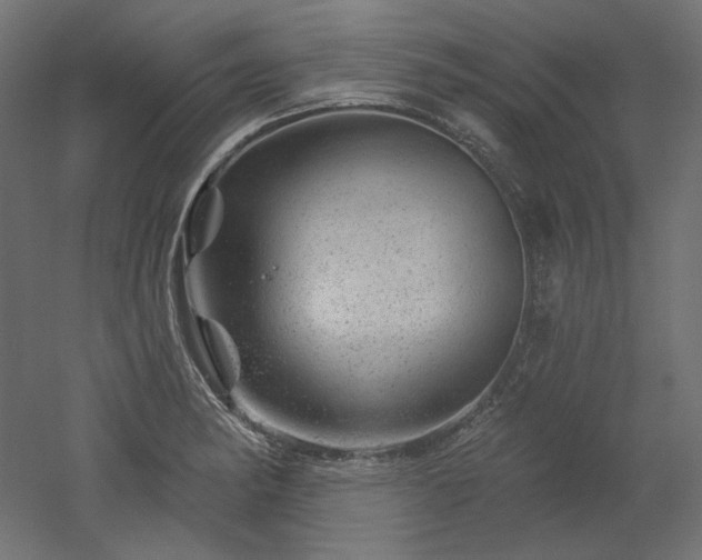 X0000052641182200507011338