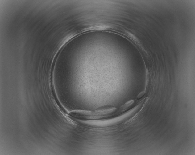 X0000052641186200507011338