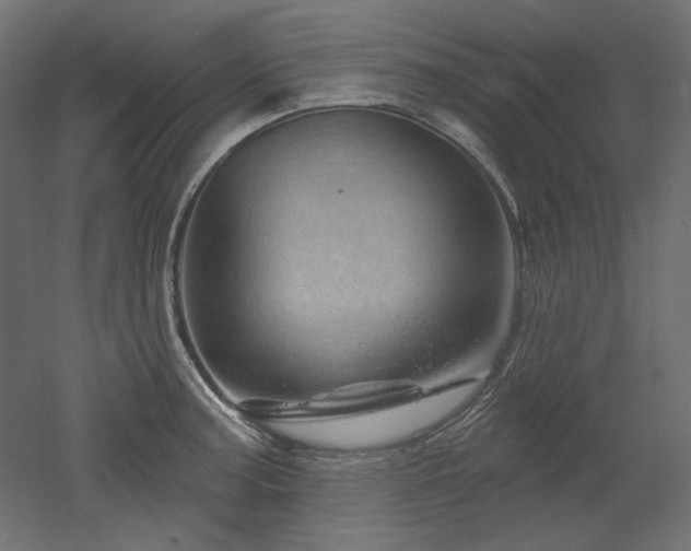 X0000052641187200507011338