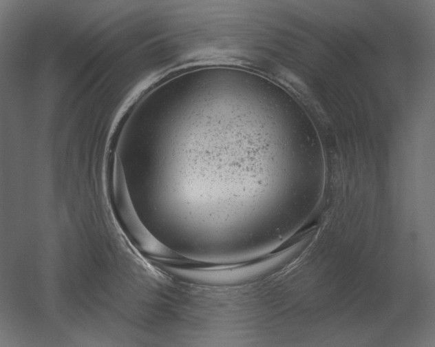 X0000052641188200507011338