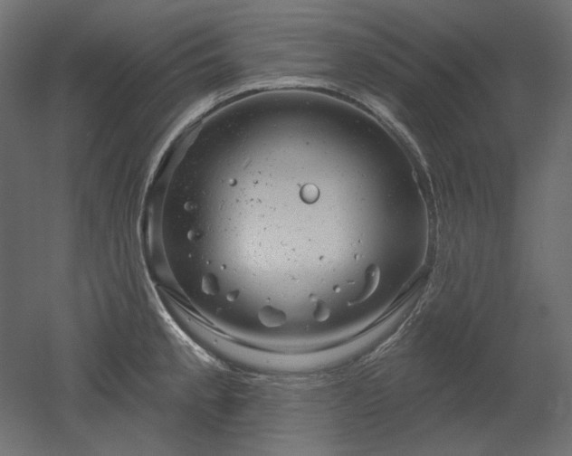 X0000052641189200507011338