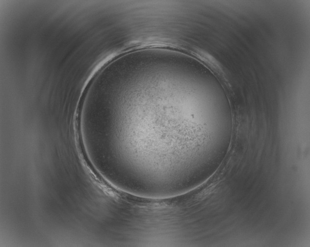 X0000052641190200507011338