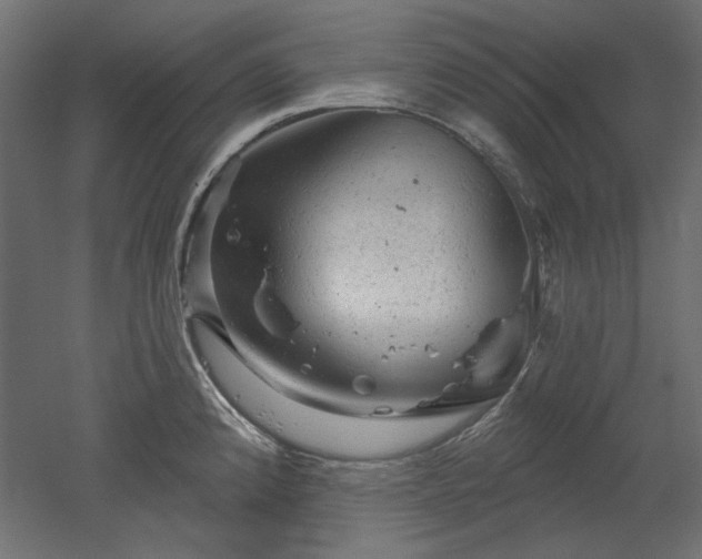 X0000052641192200507011338