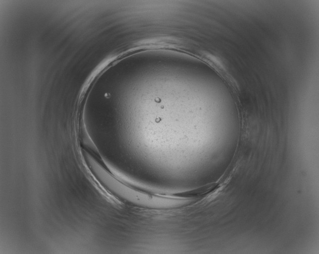 X0000052641196200507011338