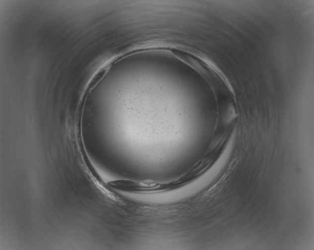 X0000052641197200507011338