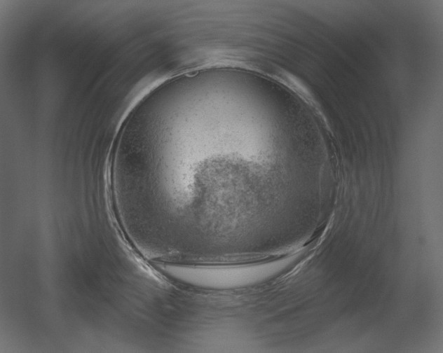 X0000052641198200507011338