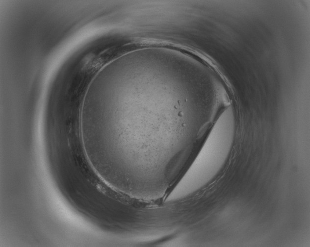 X0000052641199200507011338