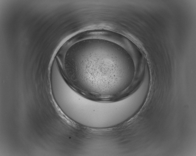 X0000052641200200507011338