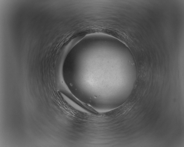 X0000052641201200507011337