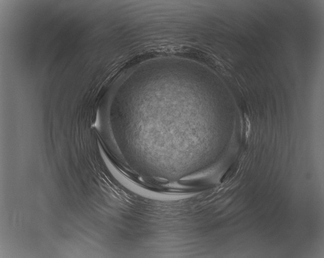 X0000052641202200507011337