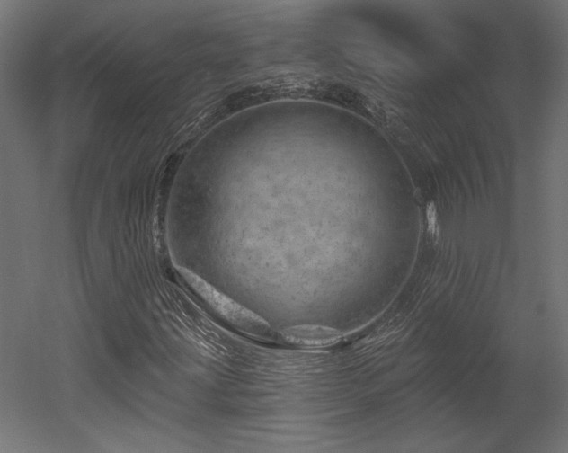 X0000052641203200507011337