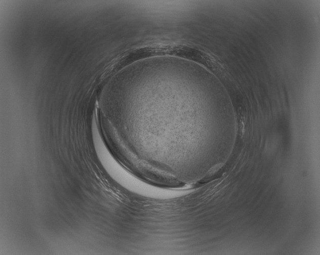 X0000052641204200507011337