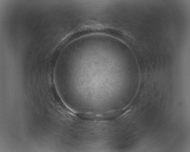 X0000052641205200507011337