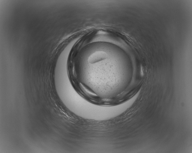 X0000052641206200507011337