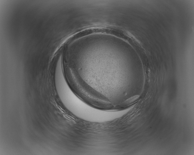 X0000052641208200507011337