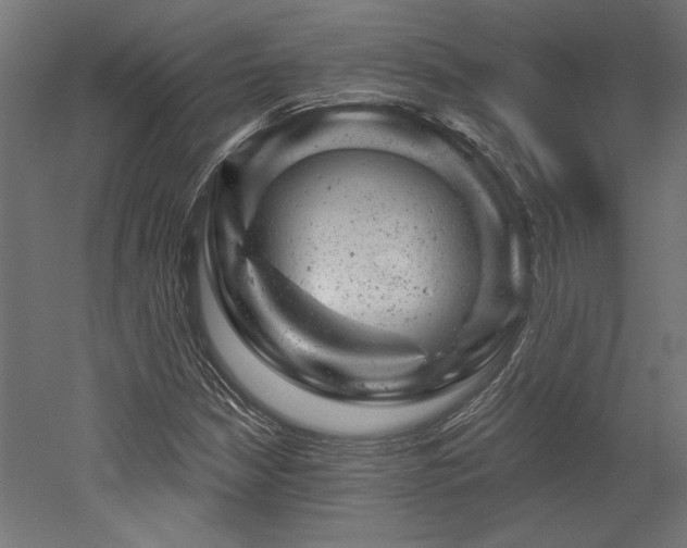 X0000052641210200507011337