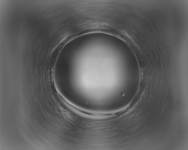 X0000052641211200507011337