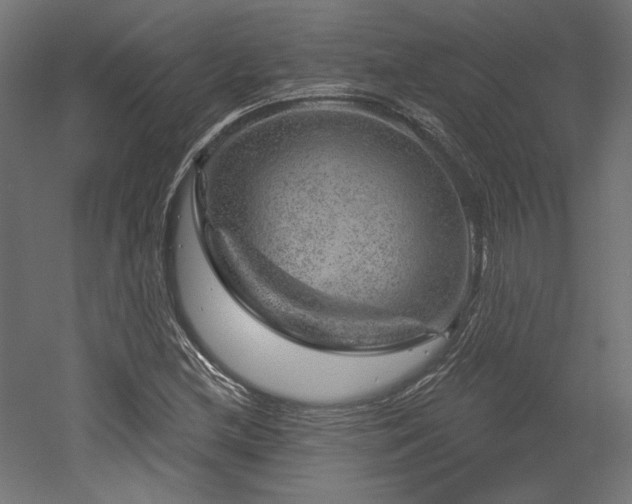 X0000052641212200507011337