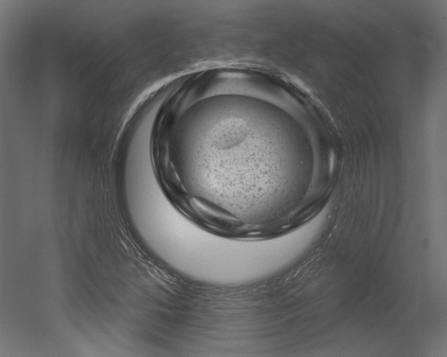 X0000052641214200507011337