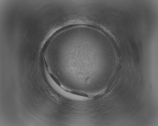 X0000052641215200507011337