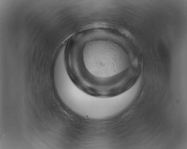 X0000052641217200507011337