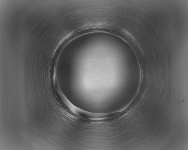 X0000052641218200507011337