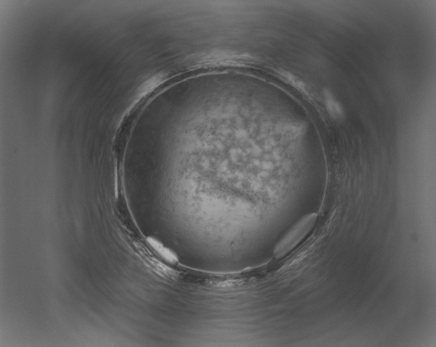 X0000052641219200507011337