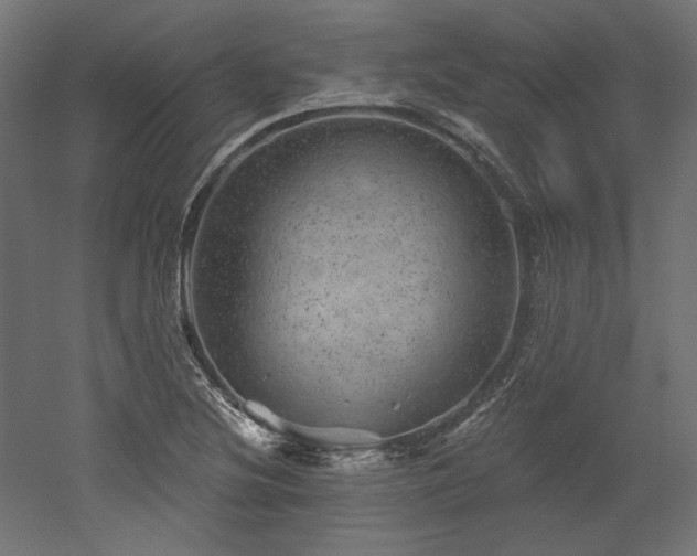 X0000052641220200507011337