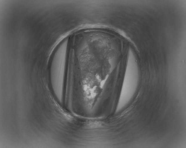 X0000052641221200507011337