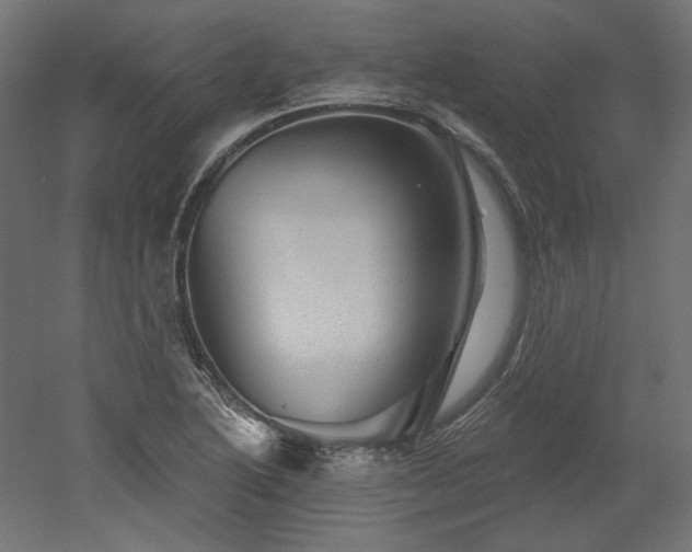 X0000052641222200507011337