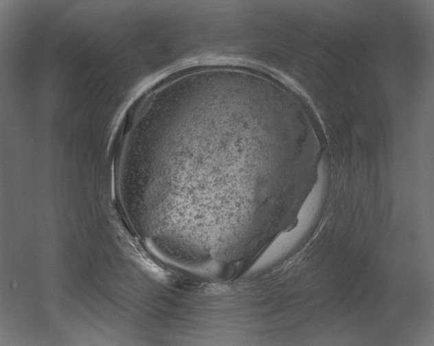 X0000052641223200507011337