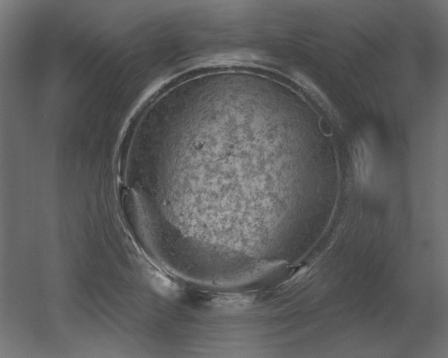 X0000052641224200507011337