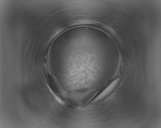 X0000052641225200507011337