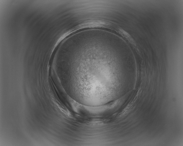 X0000052641226200507011337