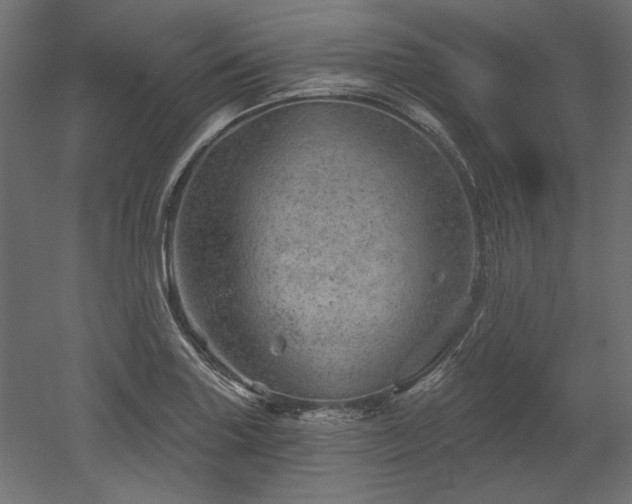 X0000052641227200507011337