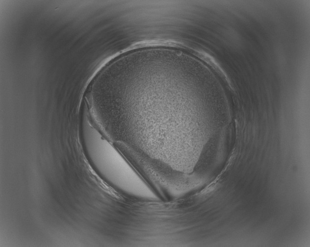 X0000052641228200507011337