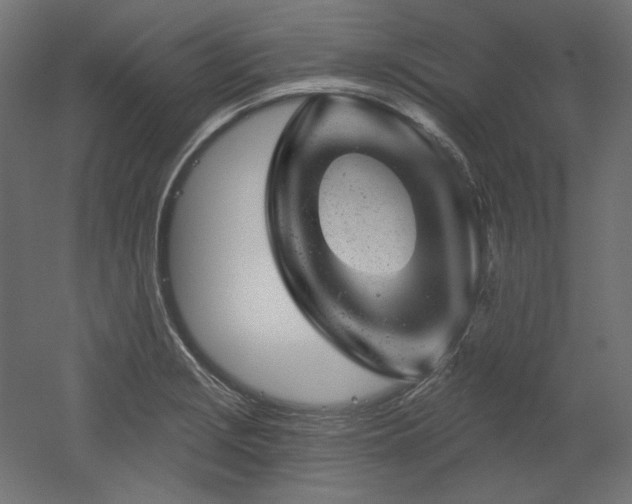 X0000052641229200507011338