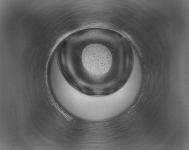 X0000052641230200507011338