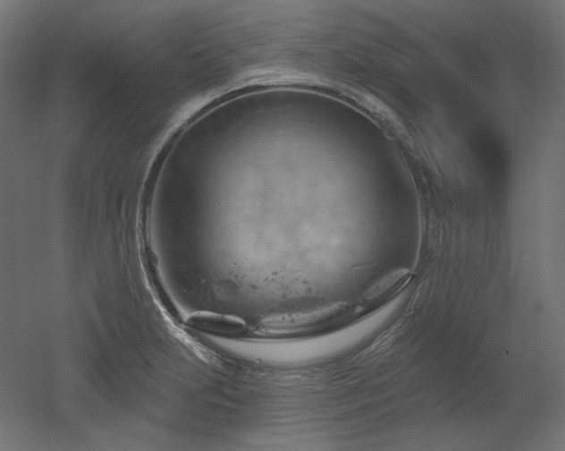 X0000052641231200507011338